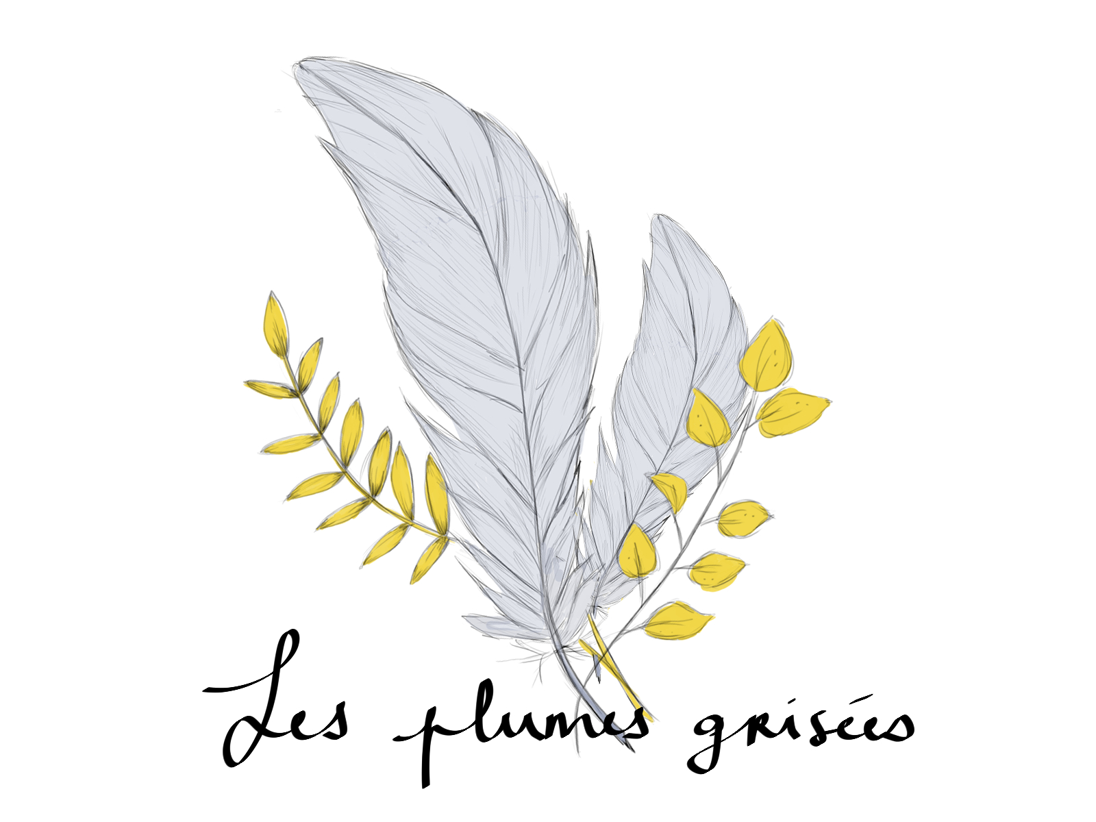 logo Plumes grisées