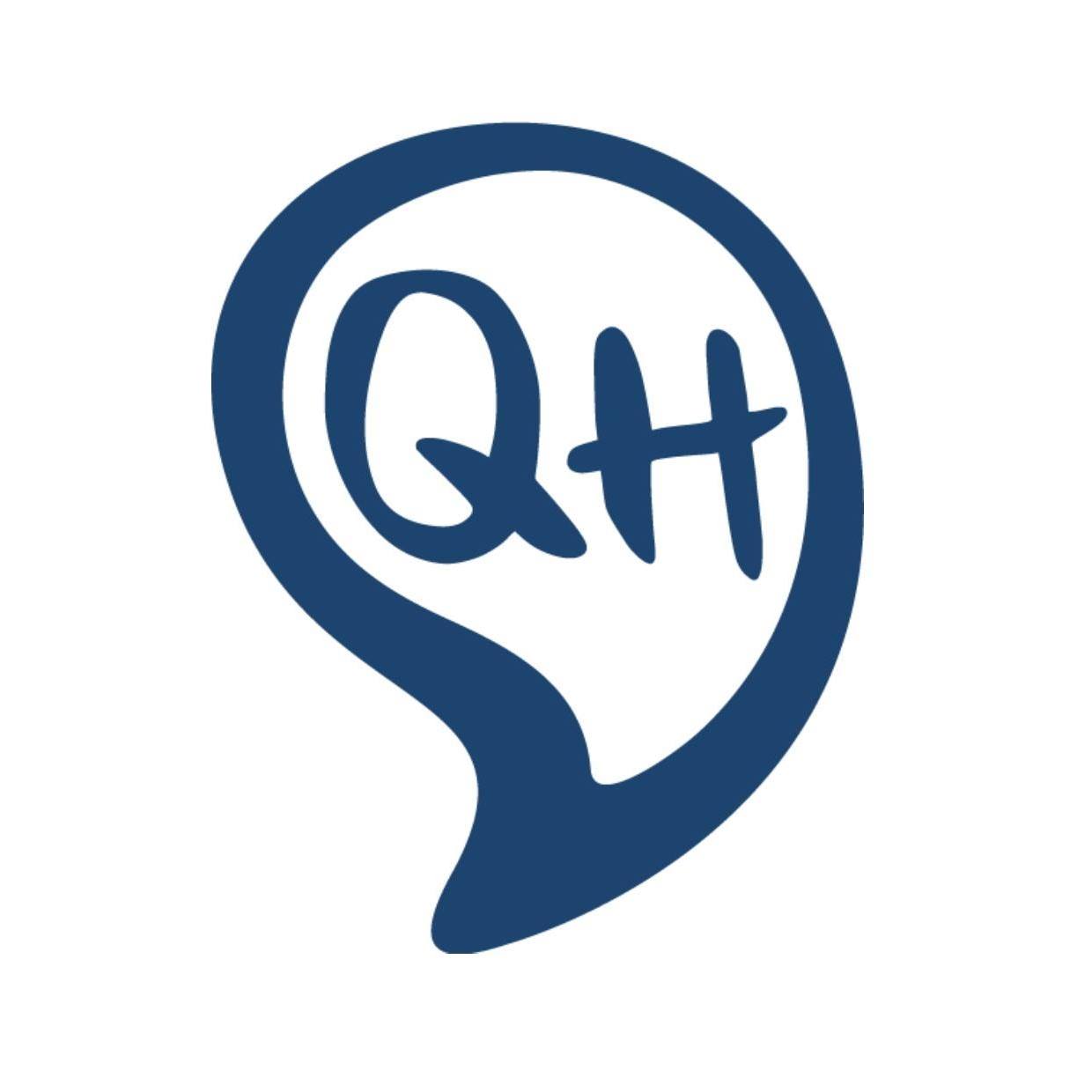 logo Qesthandi nouveau