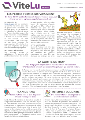 ViteLu Sequoia n1901